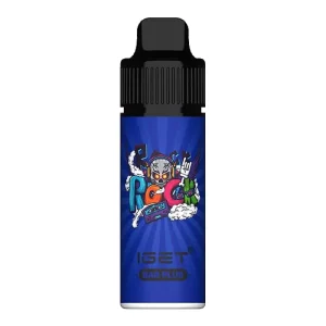 Blueberry Raspberry Bubble Gum 6000 Puffs Disposable Vape