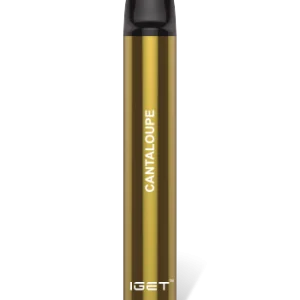 Cantaloupe 600 Puffs Disposable 3 x IGET Shion
