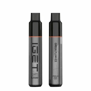 Green Plum Ice 5500 Puffs Disposable Vape
