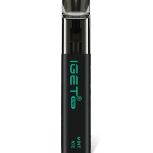 Mint Ice 2600 Puffs Disposable Vape IGET King