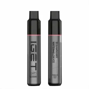 Strawberry Watermelon Ice 5500 Puffs Disposable Vape